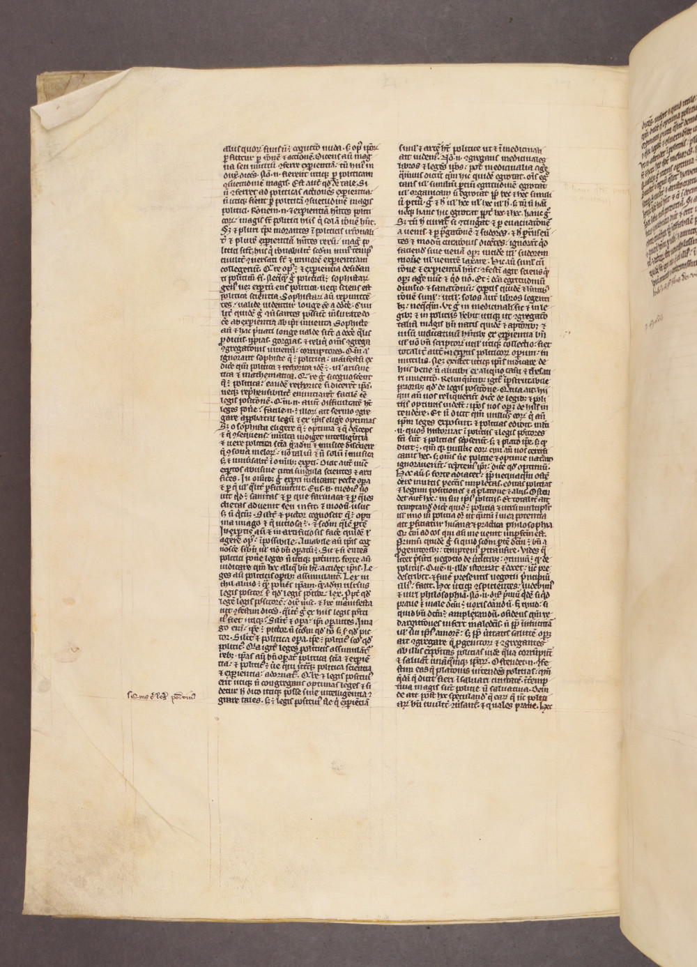 Folio 239 verso